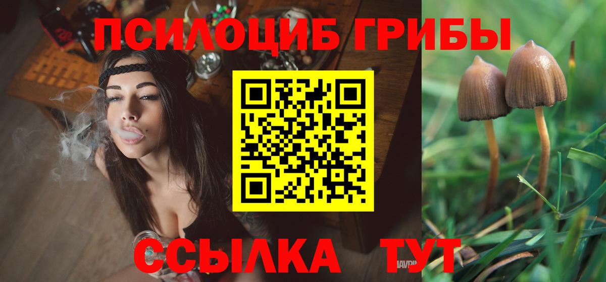 Свободный  Галлюциногенные грибы MAGIC MUSHROOMS  Галлюциногенные грибы Cubensis  Вход с VPN 